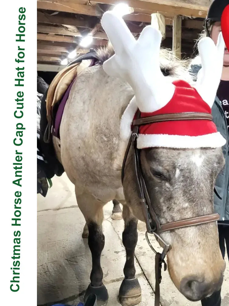 Christmas Horse Antler Cap Cute Hat for Horse