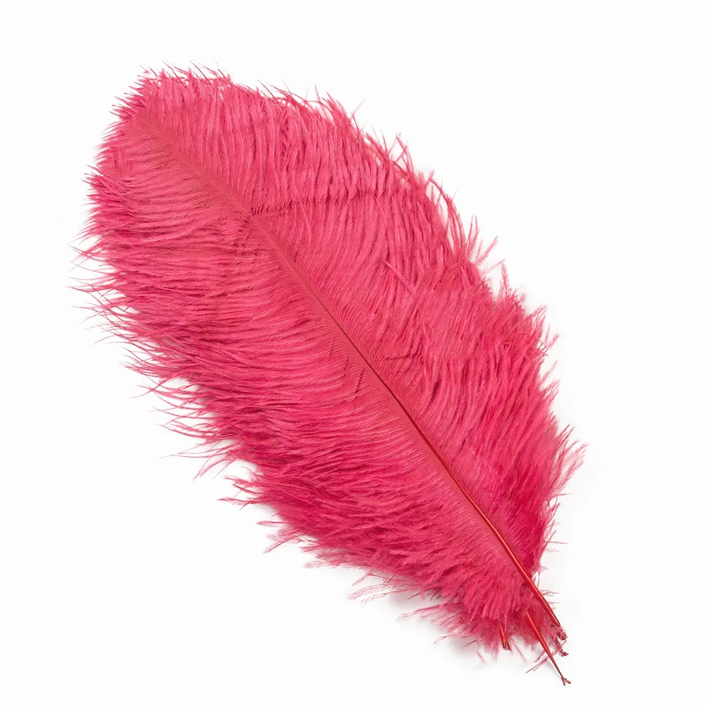10 PCS Set 10 Colors Natural Ostrich Feathers Wedding Home Decor 30-35cm/40-45cm Ostrich Plumes Table Centerpiece Crafts