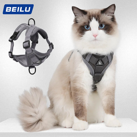 NEW Arrivals Cats Dog Harness for Big Dog Vest Fashion Chest Strap Reflective and Breathable Cat Walking Rope Dog Rope Cat Harness Pets Safety Accessories