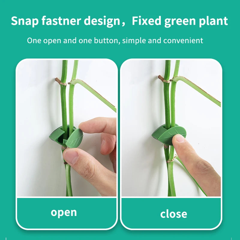 20-50PCS Invisible Plant Climbing Wall Fixture Rattan Vine Bracket Fixed Buckle Leaf Clips Traction Holder Garden Plant Pillar