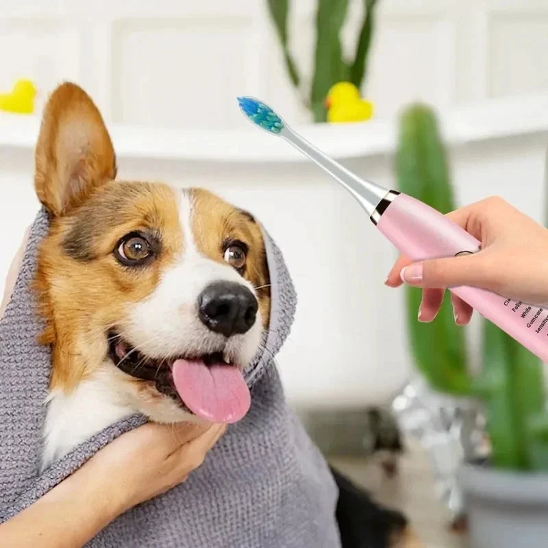 Pet Electric Toothbrush Dog Cat Teeth Cleaning Tool USB Rechargeable Electric Dog Toothbrush with Replacement Brush Head