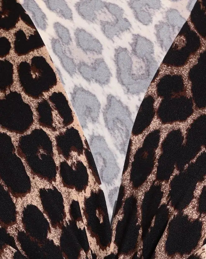 NEW Arrivals Sexy Elegant Cheetah V-Neck Long Sleeve Top Autumn Winter Spring Women Female New Fashion Casual T-Shirt Pullover Evening Party Night Club Tops Ladies Girls Luxury Fashion Clothing Supplies