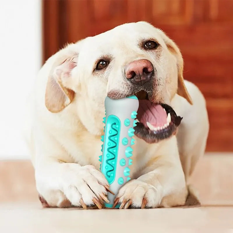 Dog Toy Teething Stick Chewable Teeth Cleaning Bones Dog Toothbrush TPR Safe Puppy Dental Care Cleaning Toys Supplies