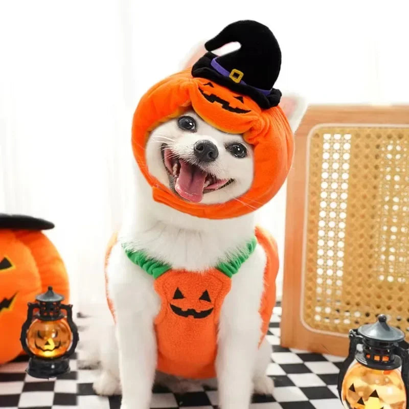 Halloween Dog Costumes Funny Pumpkin Lantern Transformation Outfit Halloween Dog Cat Two Legged Pet Cute Pumpkin Hat Dog Jacket