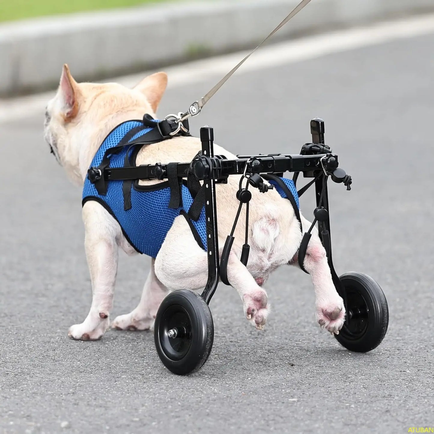 Dog Wheelchair, Adjustable Dog Wheelchairs-Mobility Aids for Disabled Pets, Suitable for Pets Weighing 8-20 Pounds