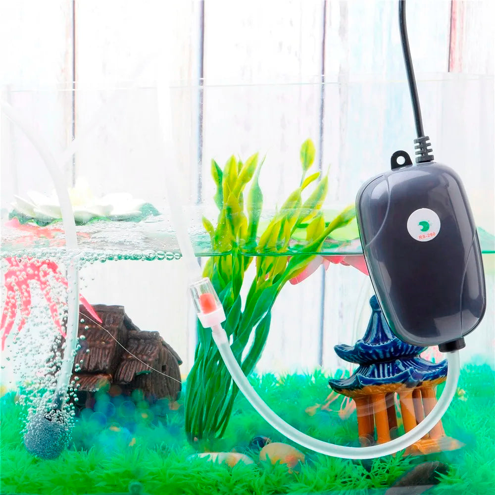 NEW Set Aquarium Air Pump Fish Tank Mini Compressor with Accessories Kit Single Double Outlet with Check Valve Tube Aquatic Accessories 220V 3W 5W