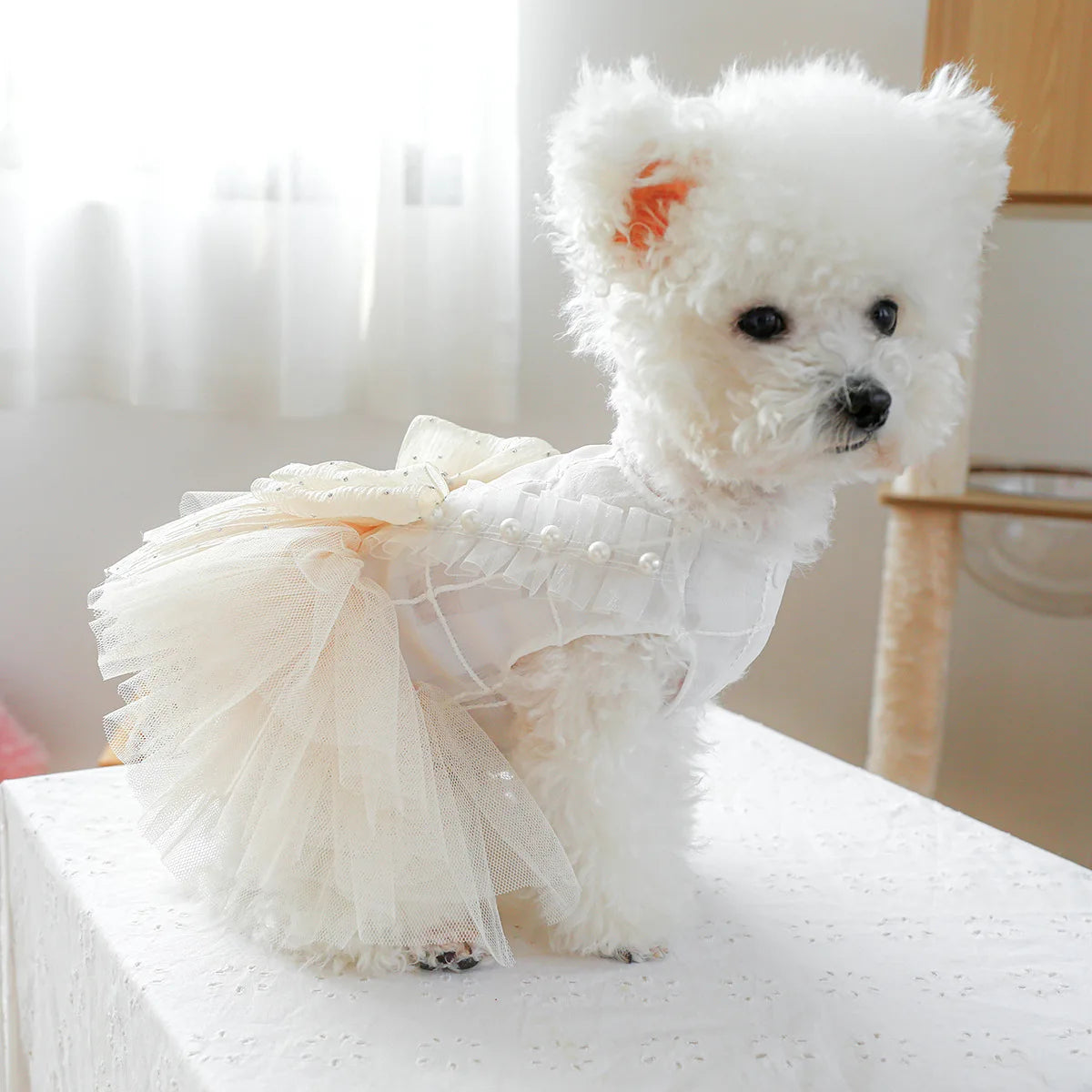 Pet Clothes Dog Clothing Spring and Summer Princess Dress Lovely Wedding Dress