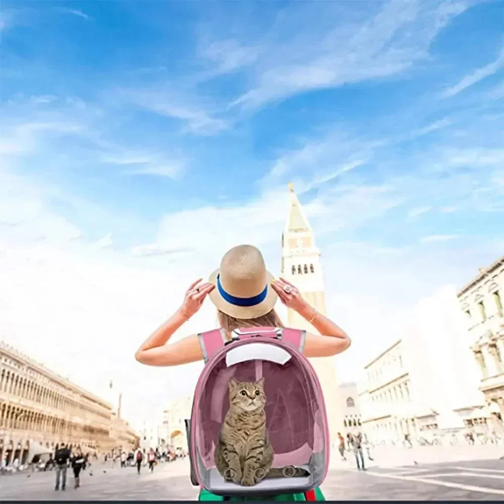 A Cat Carrying a Backpack, a Transparent Bubble Pet