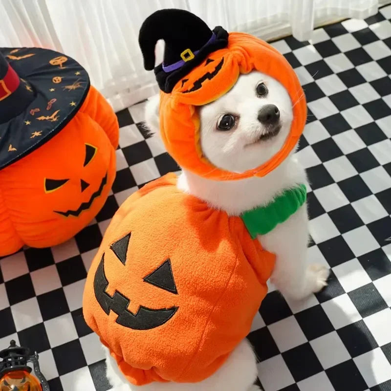 Halloween Dog Costumes Funny Pumpkin Lantern Transformation Outfit Halloween Dog Cat Two Legged Pet Cute Pumpkin Hat Dog Jacket