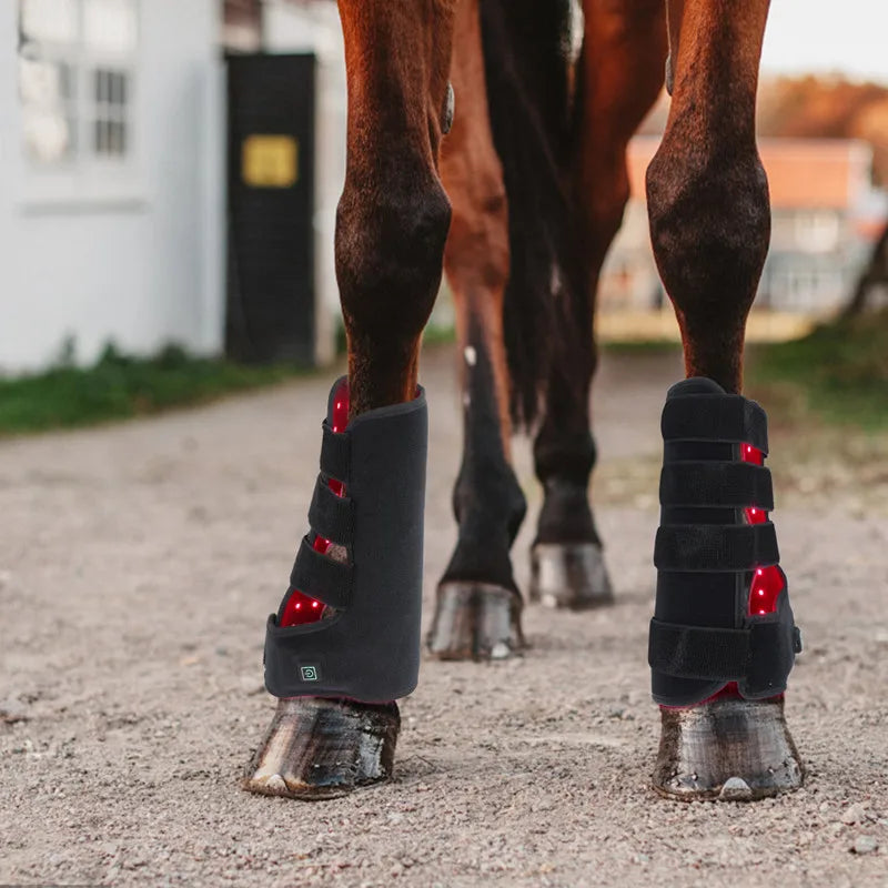 Horse Equestrian Cow Farm Animals Wireless Pulse Horse head Leg Light Therapy 660nm 850nm Equine Therapy Red Light Treatment Pain Relief   for Horses