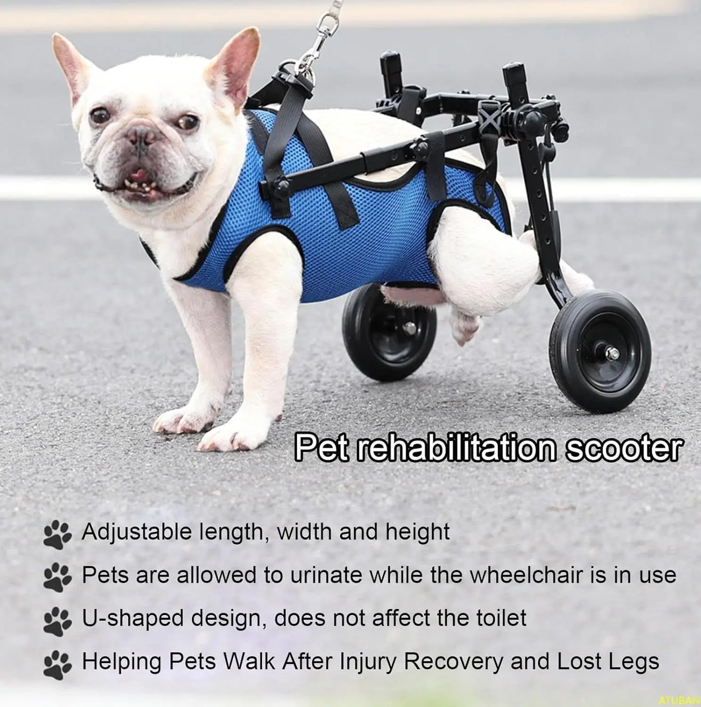 Cat & Dog Wheelchair, Adjustable Pets Cart with Wheels for Back Legs,Dog Brace and Hip Support, to Recover Their Mobility