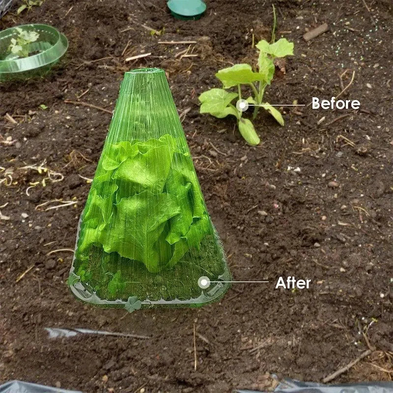 5 Pcs Growth Box Planting Tent Reusable Square Use Plant Clock Cover To Protect Plants From Bird Frost and Snail Damage Green