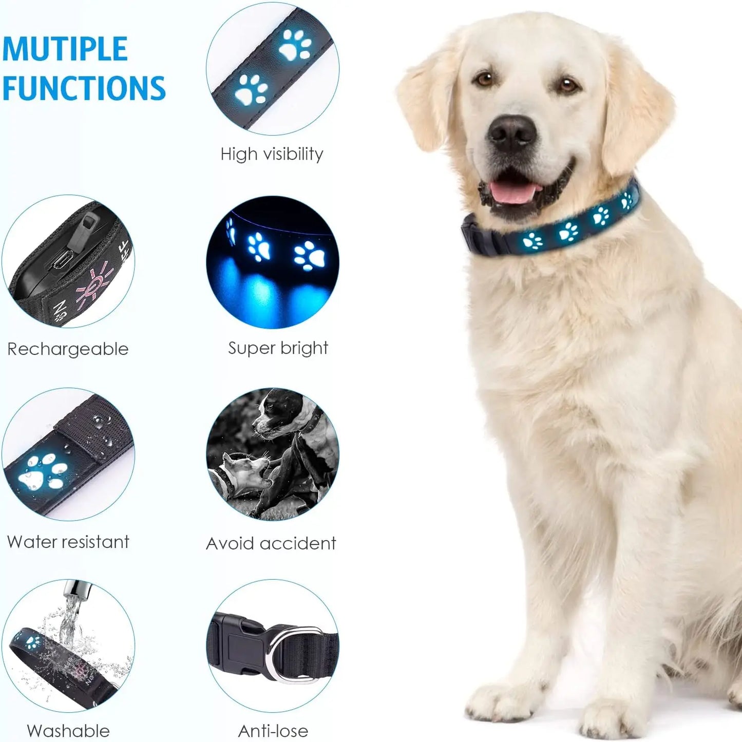 LED Light Up Dog Collar ,Flash Dog Collar for Night Walking,4 Flash Modes