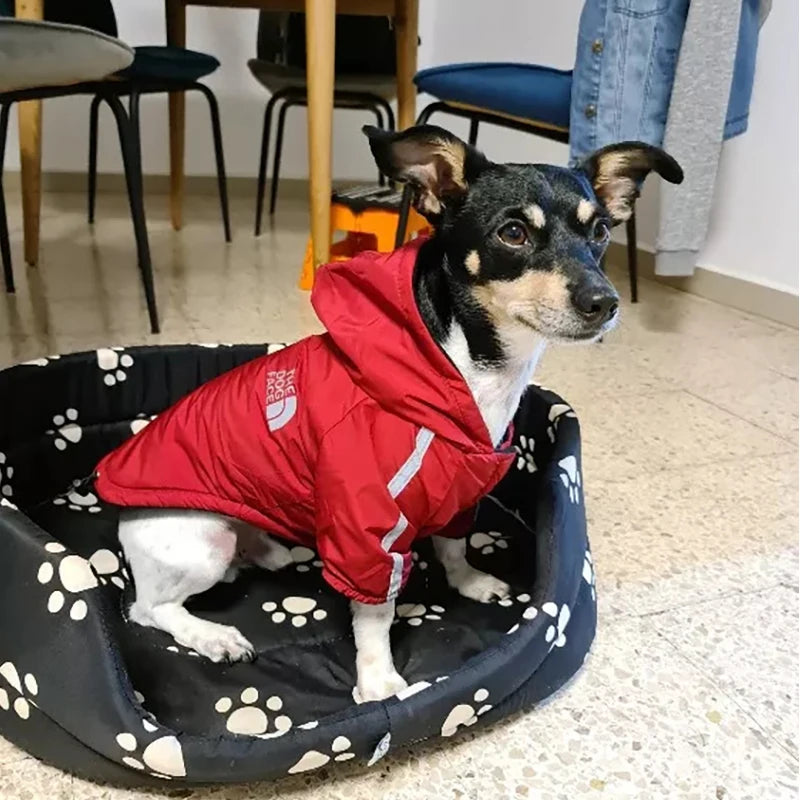 The Dog Face Waterproof Dogs Clothes Reflective Pet Coat For Small Medium Dogs Winter Warm Fleece Dog Jackets Puppy Raincoat Chihuahua Outfit