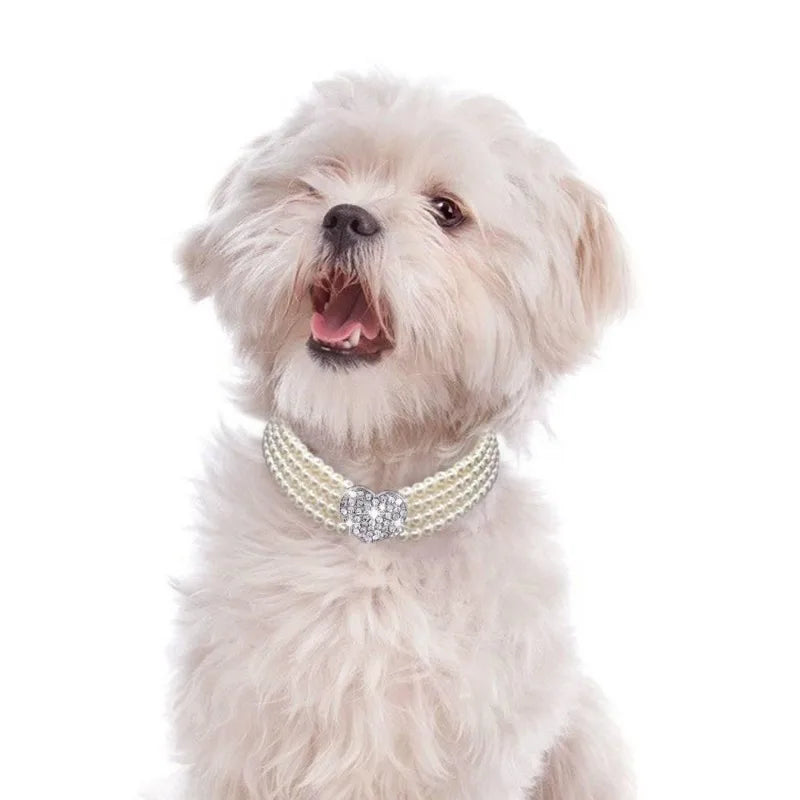 Pet Collar Puppy Cat Small Dog Luxury  Jewelry Necklace Party Pearl Collar Pet Accessories