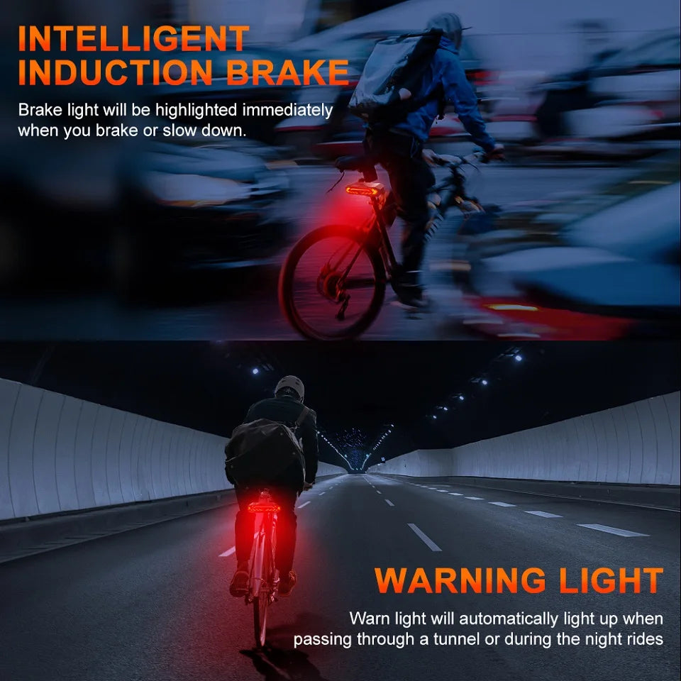 Hollarm Bicycle Alarm Taillight Anti Theft USB Rechargeable Waterproof Smart Induction Bike Signal Brake Rear Lamp Bike Alarm