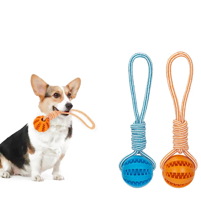 Pet Treat Balls with Rope Interactive Dog Rubber Leaking Balls Toy for Small Large Dogs Chewing Bite Resistant Toys Pet Supplies