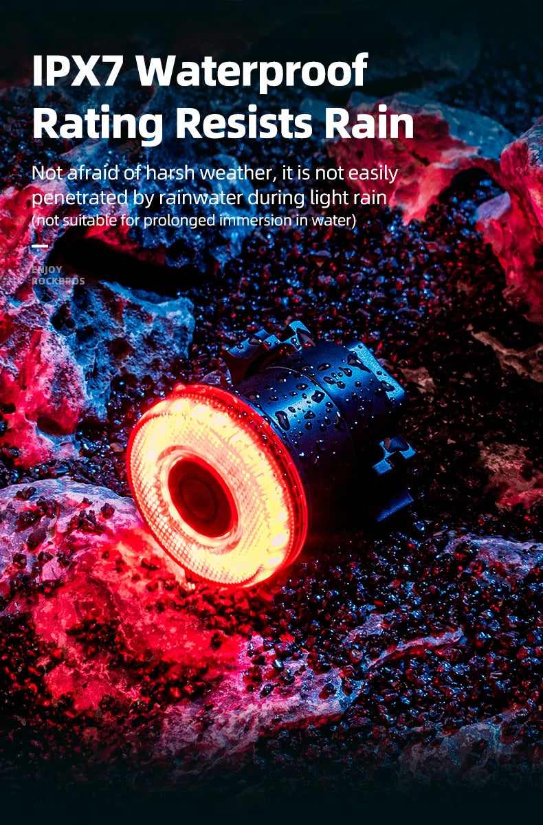 Smart Bike Tail Light Bicycle Rear Lights IPX6 Waterproof Bike Lights for Night Riding with Type C Rechargeable Bicycle Accessories