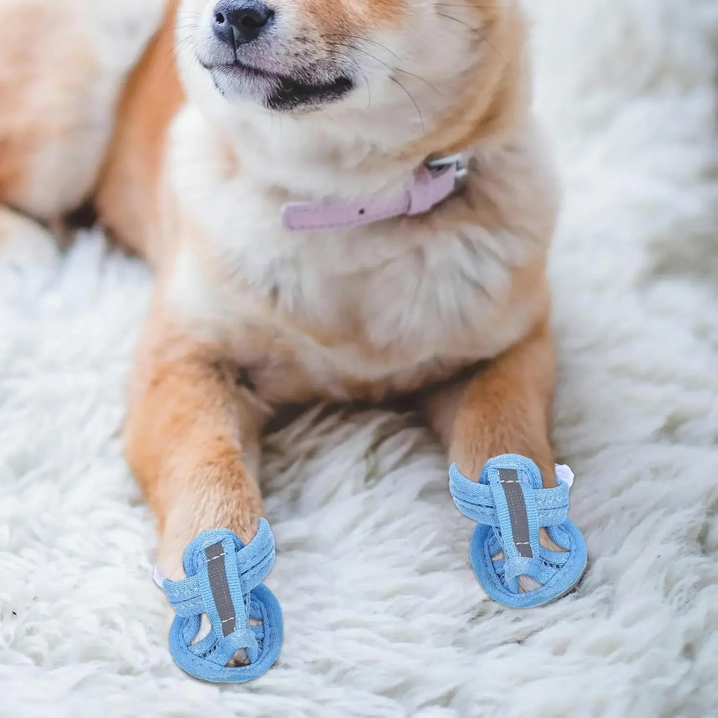 4 PCS Set XS-XL 4 Colors Summer Dog Shoes Breathable Sandals for Dog Cat Walking Running Outdoor Anti Slip Paw Protectors & Pet Gifts