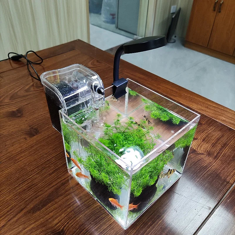 Mini Desktop Transparent Acrylic Aquarium Aquatic Grass, Shrimp, Turtle, Goldfish Fish Tank with Filter System and Lamp