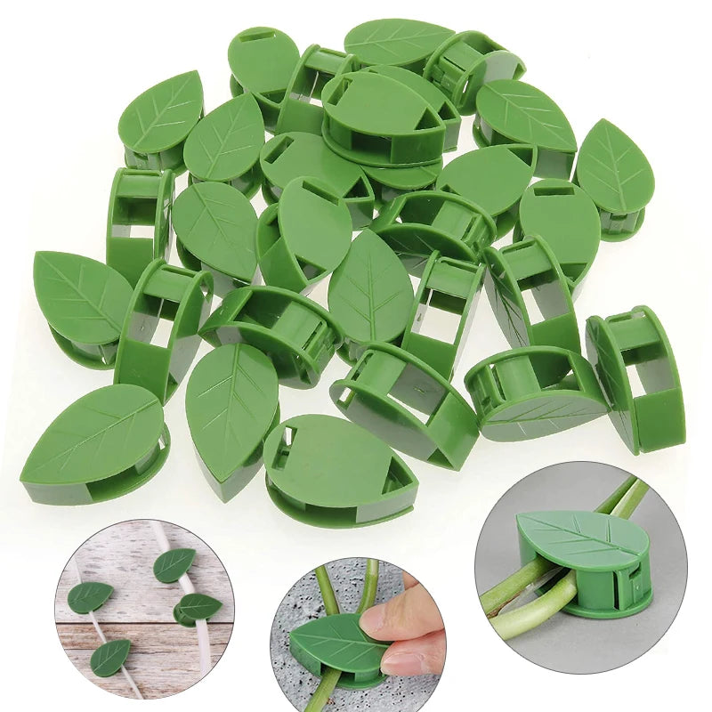 20-50PCS Invisible Plant Climbing Wall Fixture Rattan Vine Bracket Fixed Buckle Leaf Clips Traction Holder Garden Plant Pillar