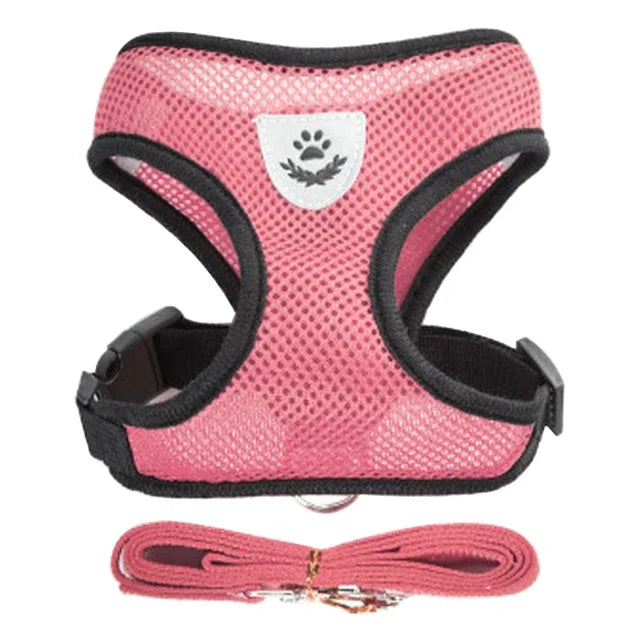 NEW Arrivals S-XL Size Cat Harness Vest Walking Lead Leash For Puppy Dogs Collar Adjustable Mesh Dog Harness For Small Medium Large Pet Accessories