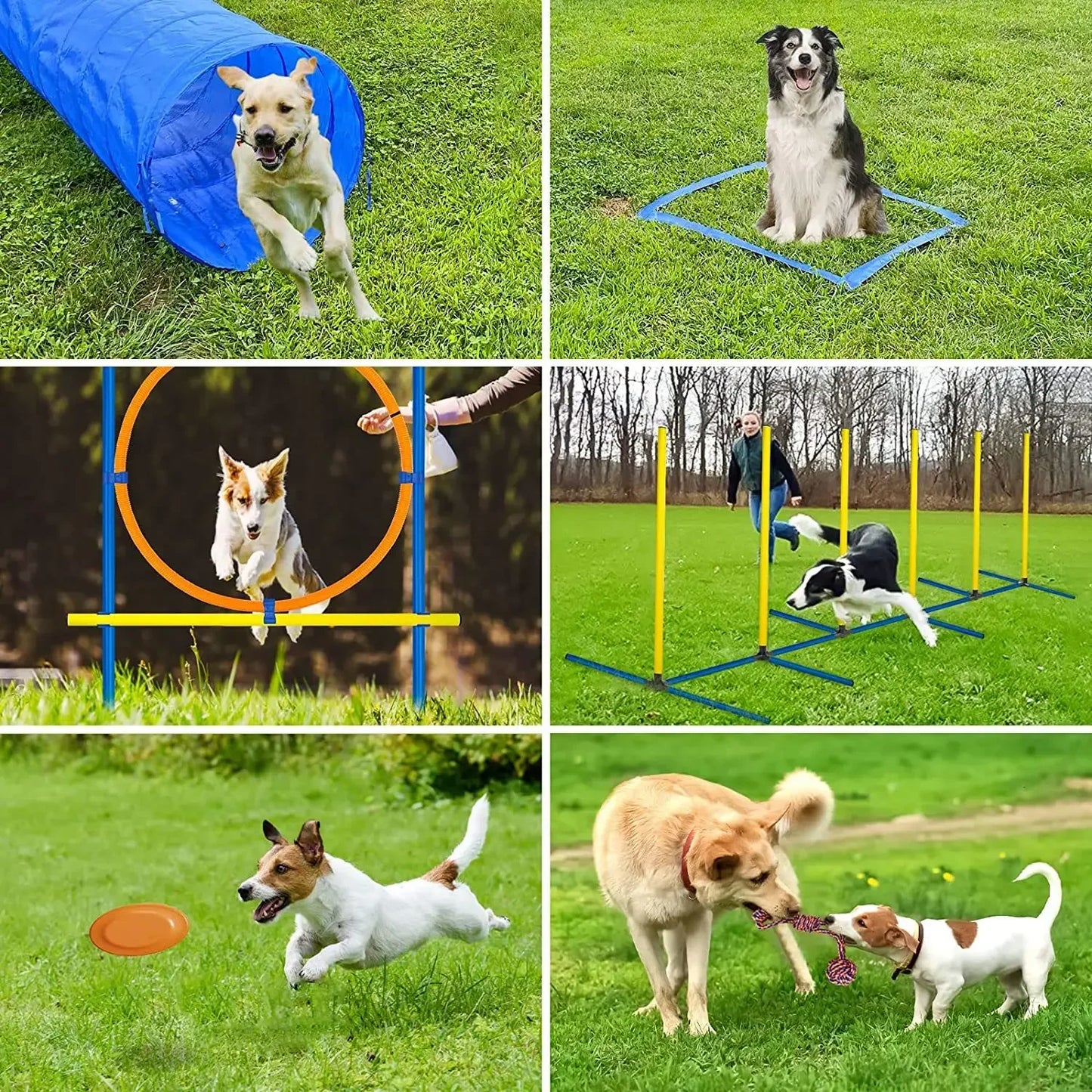 Obstacle Training Equipment Set for Pet, Agility Training, Jumping Bar, Obstacle, Dog Training Device, Pet Supplies