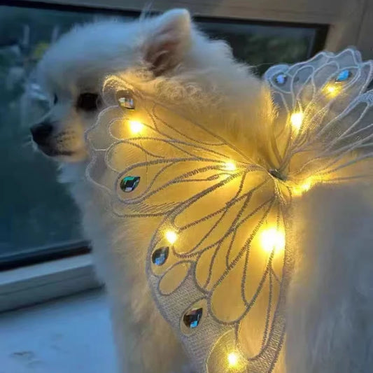 Blue/Pink/Black Color Dog Cats Wings Glowing Butterfly Back Decoration Night Walking Puppy Summer Clothes Chest Back Decoration Small Dog Pomeranian Teddy Pets Accessories