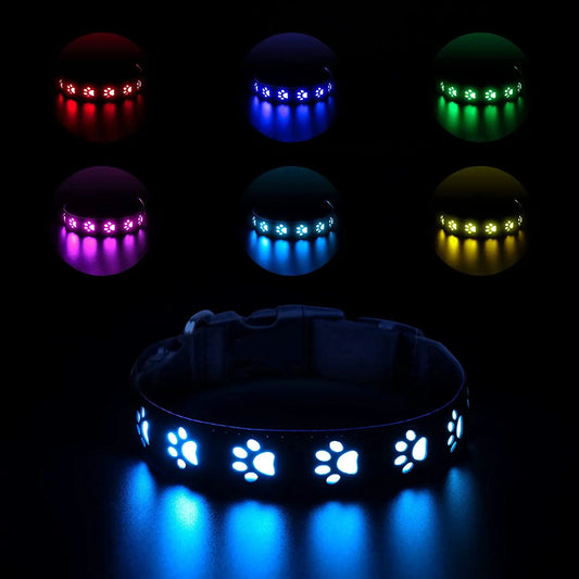 LED Light Up Dog Collar ,Flash Dog Collar for Night Walking,4 Flash Modes