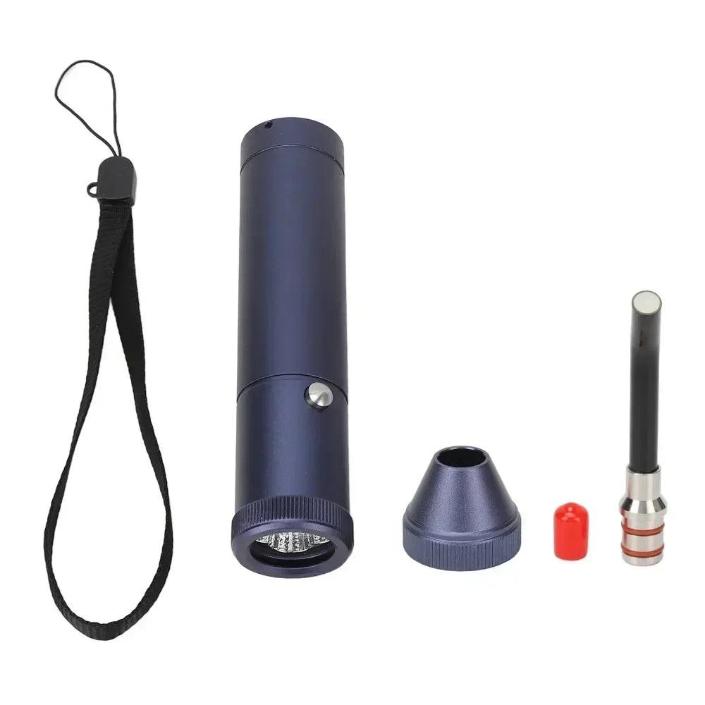 Professional  Red Blue Light LED Physiotherapy Flashlight Canker Sore Treat Devices Light Therapy Devices Lip Nose Ears Body Muscles