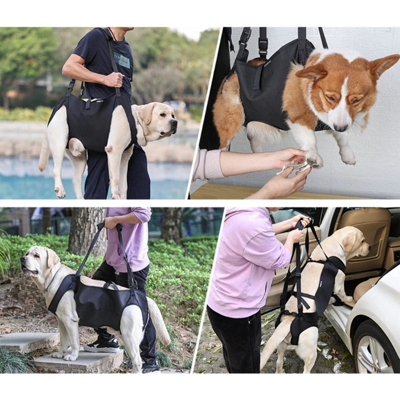 XL Adjustable Dog Lift Harness Pet Walking Leg Support Harness for Large Dogs Travel Disabled Dog Support Device