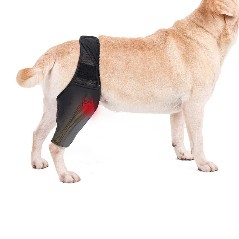 Pet Knee Pads For Joint Injury Recovery Legs Protector Dog Thigh Brace Wrap Adjustable Support Belt Post-operative Fixation