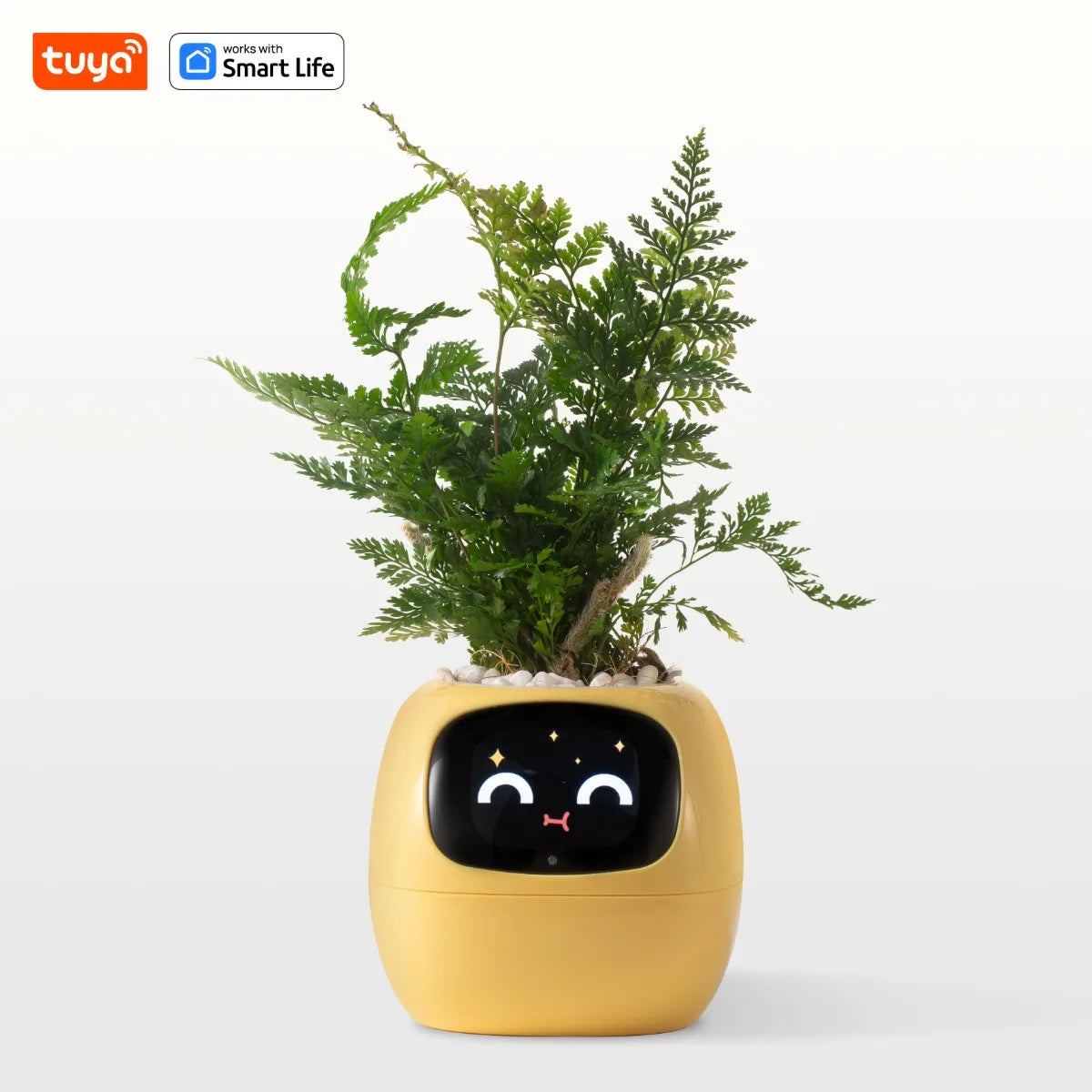 NEW Arrivals Yellow Wireless TUYA APP  Ivy Smart Planter, Endless Fun Over 49 Rich Expressions,7 Smart Sensors and AI Chips Make Raising and Growth  Plants Easy and Fun Gardening Supplies