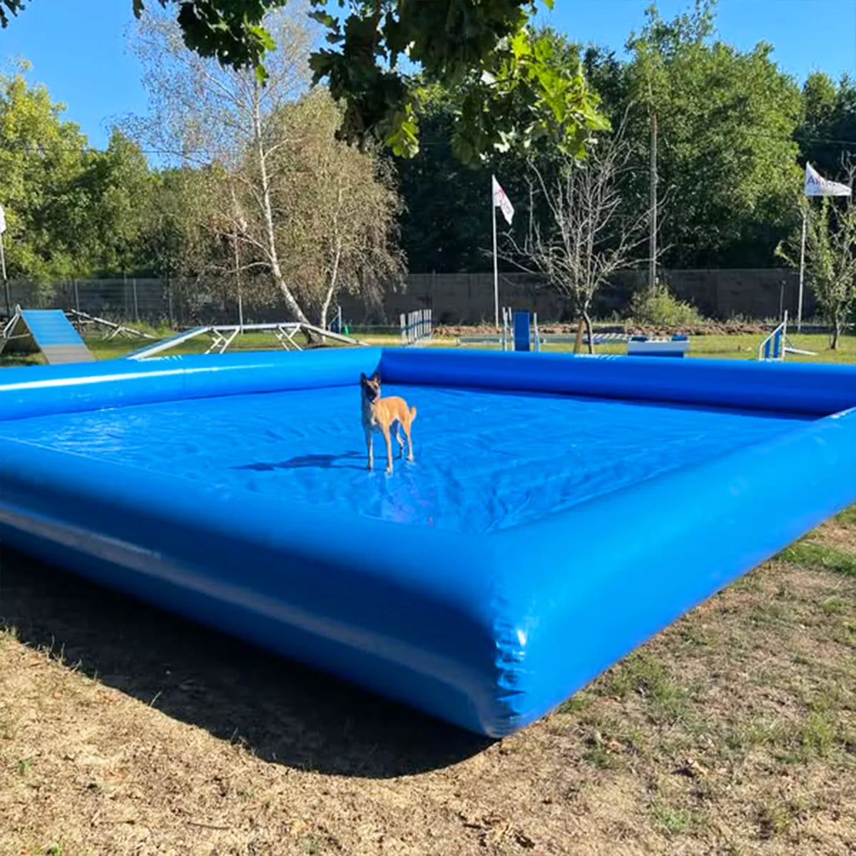 2x2/3x3/4x4M 4 Colors for Home Villa Large Pet Airtight Inflatable Swimming Pool, Outdoor Yard Dog Bathing Large Blow Up Tank Inflatable Bath Tub For Dogs with Air Pump Set Pets Summer Water Games