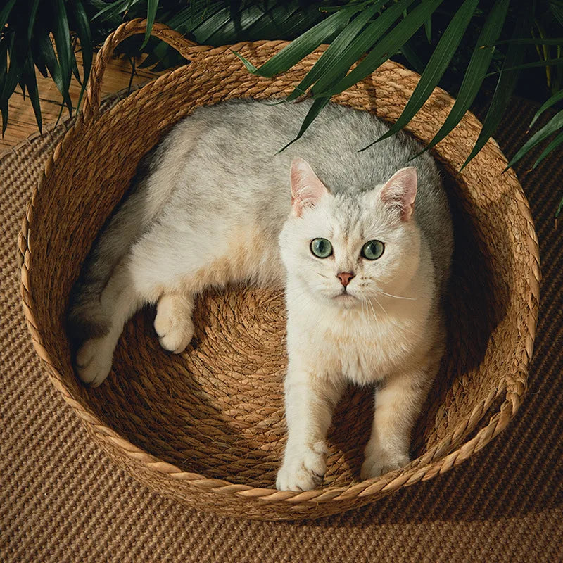 Bamboo Rattan Weaving Basket For Cat Comfortable Sleeping Pet Dog Bed Summer Cool Weave Cat House Donut Round Kitten Puppy Bed