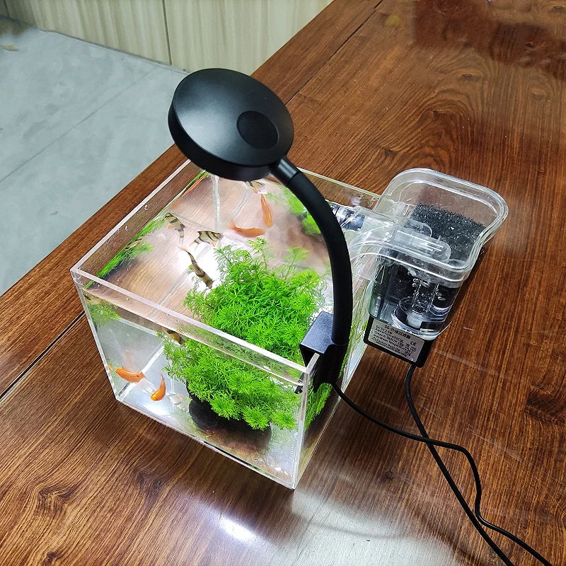 Mini Desktop Transparent Acrylic Aquarium Aquatic Grass, Shrimp, Turtle, Goldfish Fish Tank with Filter System and Lamp