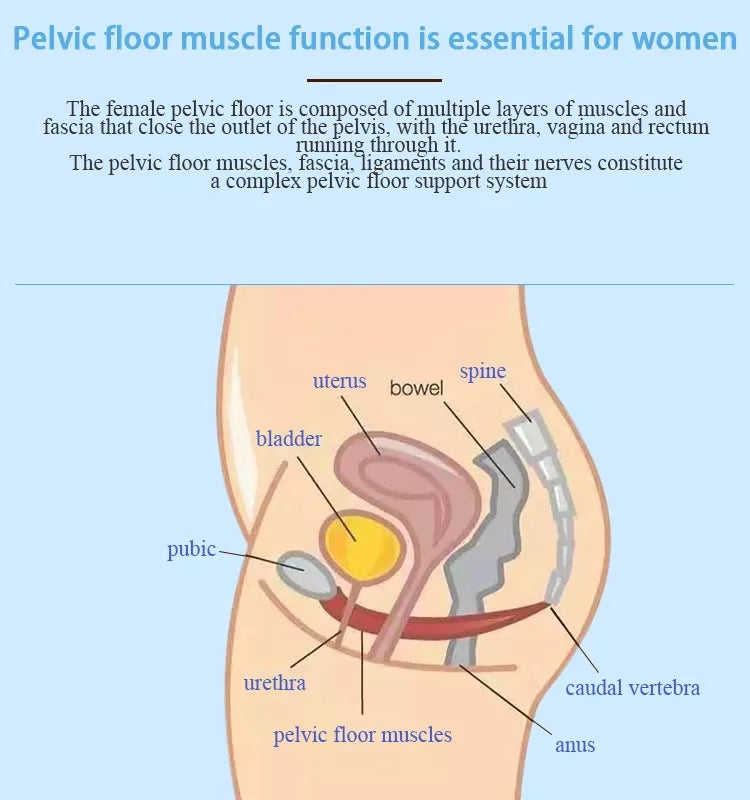 Postpartum EMS Slim Pelvic Floor Muscle Muscle Training Prostate treatment Massage Chair Machine Urinary Incontinence Butt Lift