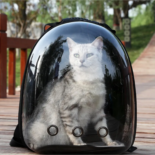 Cat Bags, Pet Backpacks, Portable and Transparent Space Capsules, Cat Supplies, Breathable Backpacks