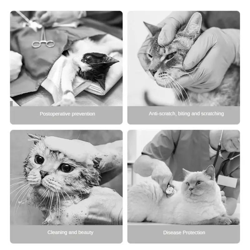 Cat Hat Prevent Scratches And Infections Protected Pet Rehabilitation Recover Prevent Scratches Elizabethan Collar After Surgery