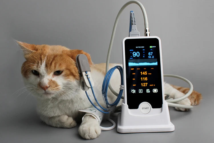 Just Landed Whole Set Dog Cat Vet Animals Monitor Heart Rate Sphygmomanometer Handheld NIBP SPO2 Function Patient Monitor Veterinary Equipment Machine Pets Health Care Supplies