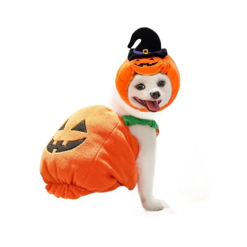 Halloween Dog Costumes Funny Pumpkin Lantern Transformation Outfit Halloween Dog Cat Two Legged Pet Cute Pumpkin Hat Dog Jacket