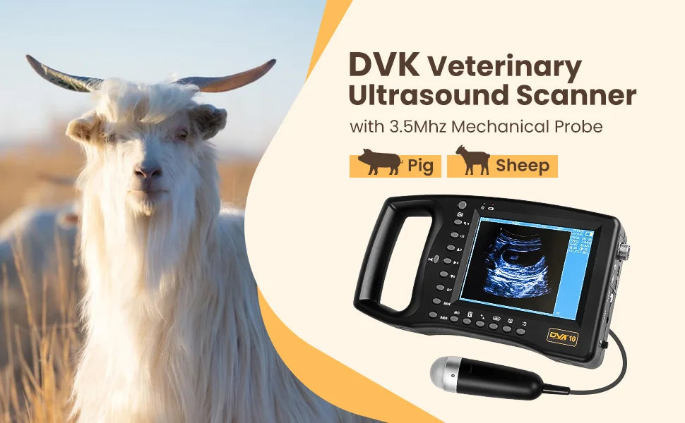 HOT SALE Portable Veterinary Ultrasound Scanner, Vet Pregnancy Ultra Machine with 3.5MHz Convex Probe for Horse Pig Sheep Goat Dogs Cow  Animals
