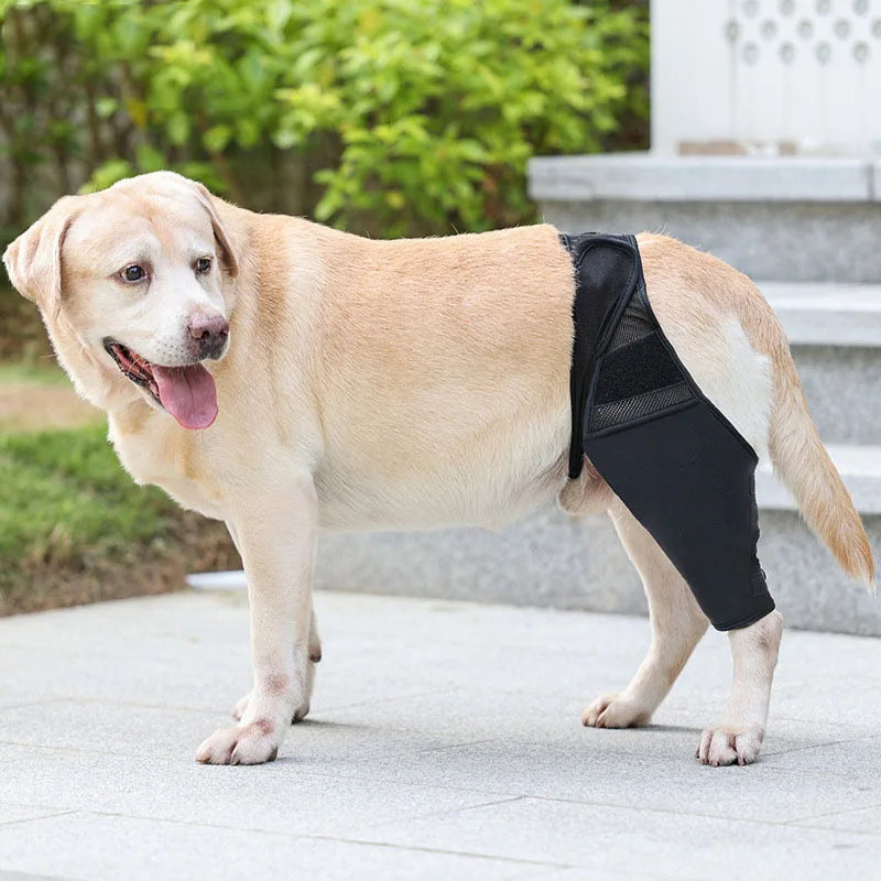 Pet Knee Pads For Joint Injury Recovery Legs Protector Dog Thigh Brace Wrap Adjustable Support Belt Post-operative Fixation