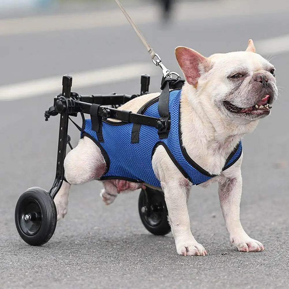 Dog Walk Wheelchair Disability Dog Hind Legs Bracket Dog Injured And Weak Rehabilitation Aid Car Adjustable Pet Walk Booster