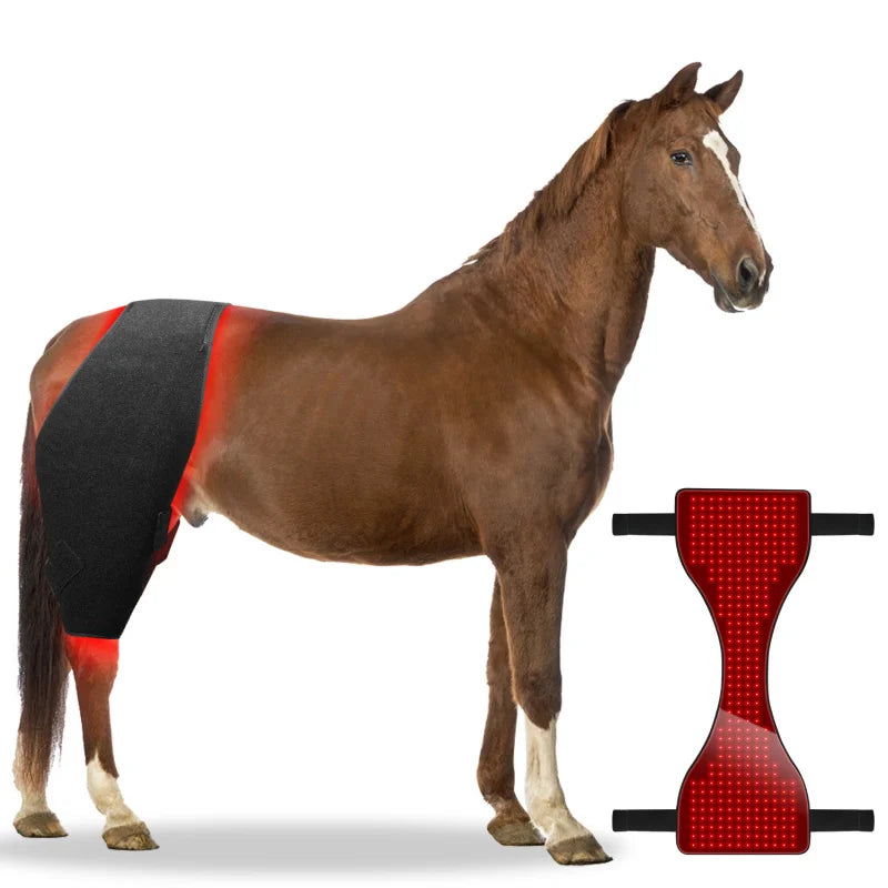 Horse Equestrian Equine Pain Relief Infrared Red Light Therapy Pad Wrap With Rechargeable Battery Cow Farm Animals Health Care Supplies