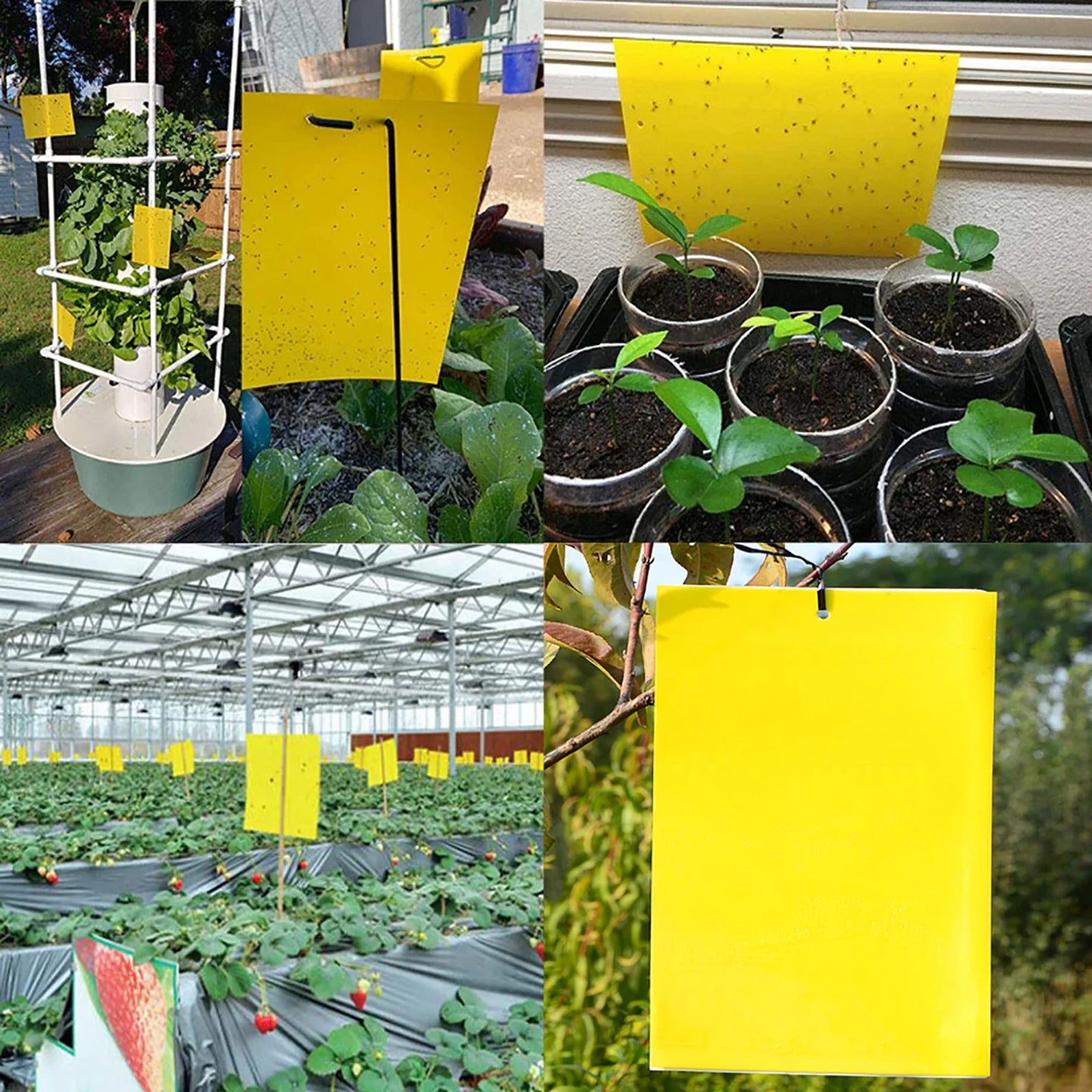 20-200PCS Yellow Fly Traps Bugs Sticky Board Dual-Sided Catching Aphid Insect Pest Control Whitefly Thrip Leafminer Glue Sticker