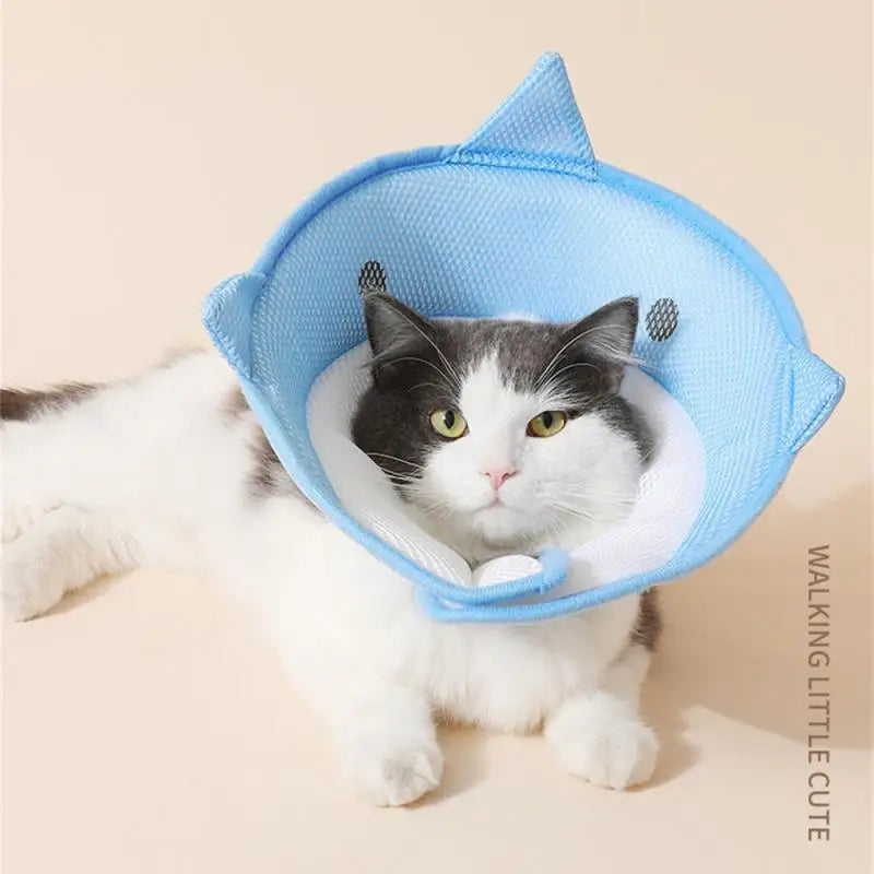 Cat Hat Prevent Scratches And Infections Protected Pet Rehabilitation Recover Prevent Scratches Elizabethan Collar After Surgery