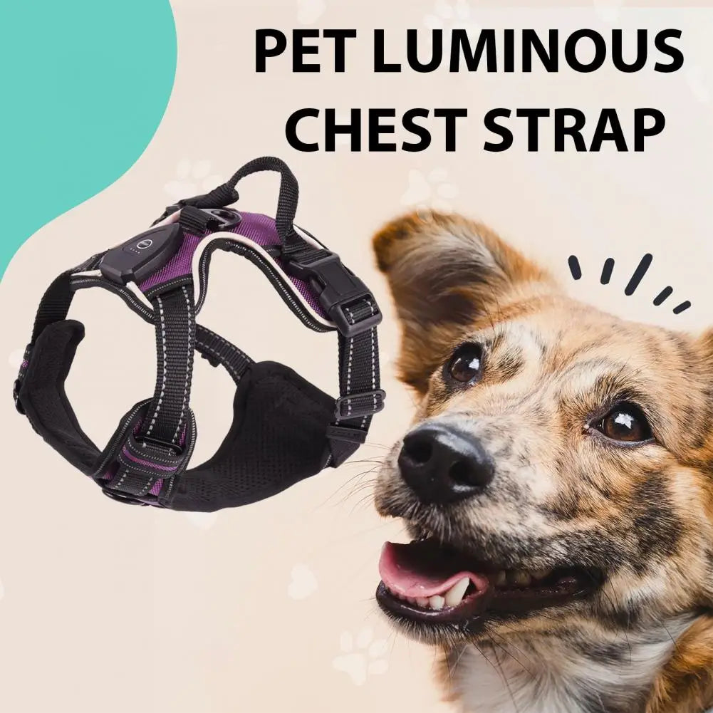 LED Light Pet Harness Rechargeable Dog Harness for Night Walking Adjustable Glow Vest for Small Medium Dogs Pet Chest Strap Soft Dog