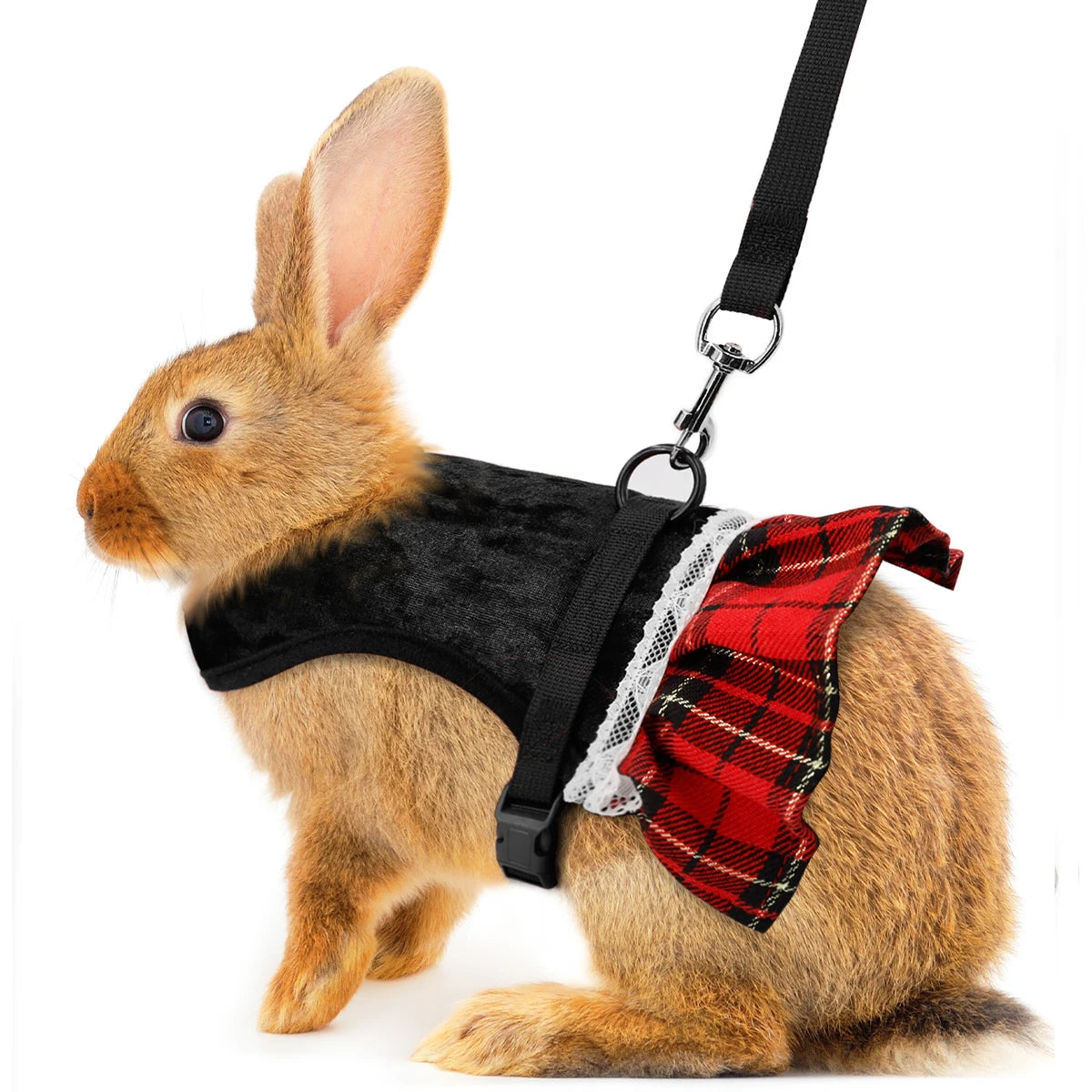 Rabbit Chest  Harness Fashion Festival Formal Dress Style Gold Velvet Skirt Rabbit Chest Back Set with Traction Rope  Pet Vest