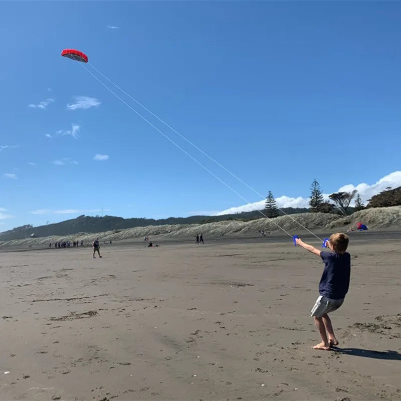 Hot Selling Large 250cm Blue Color Professional Adults Kites Flying Dual Line Power Festival Show Kites Outdoor Beach Kite Board Windsurf  kitesurfing Ripstop Sky Water Sports Supplies
